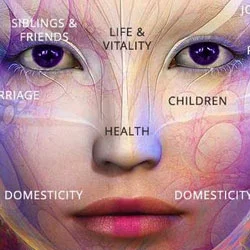 Face Reading